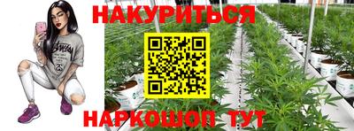 герыч Лесосибирск