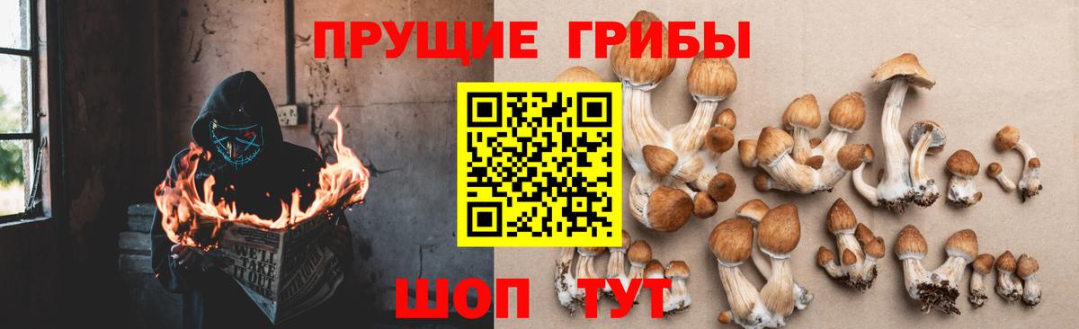 Галлюциногенные грибы MAGIC MUSHROOMS Ханты-Мансийск